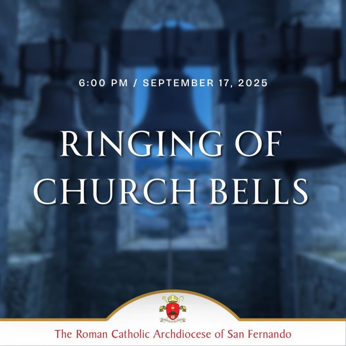 548186897_1229650389203185_258057099336216594_n