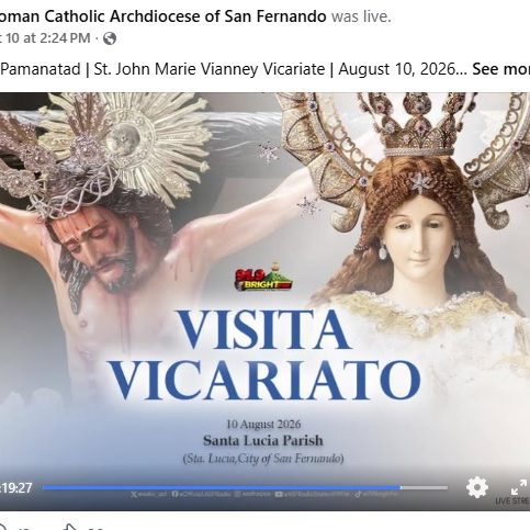 visita vicariato